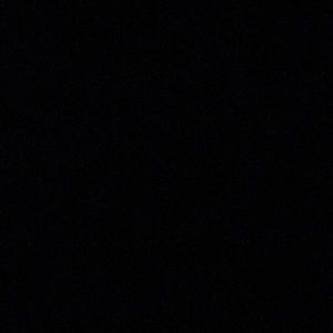 Meet your Posher, Lily